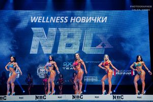 WELLNESS НОВИЧКИ